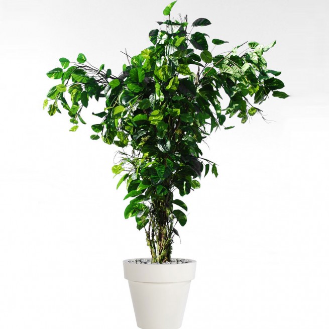 Planta semi-artificiala Ila, Pothos Tropical Tree - 350 cm